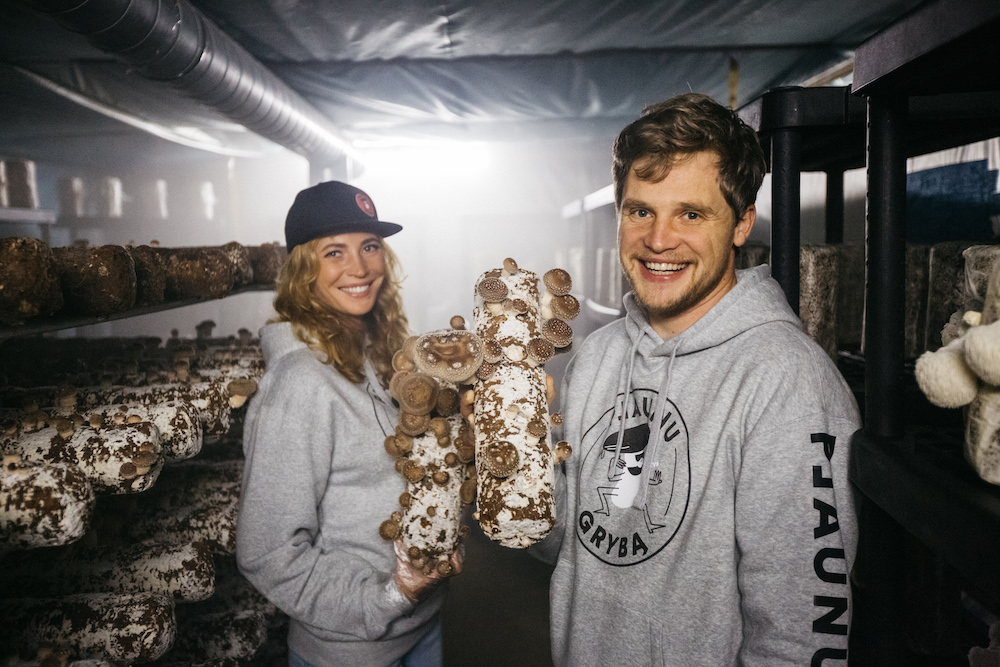 Tesonet invests in MISHKAY, a zero waste approach led farm of medicinal and edible mushrooms