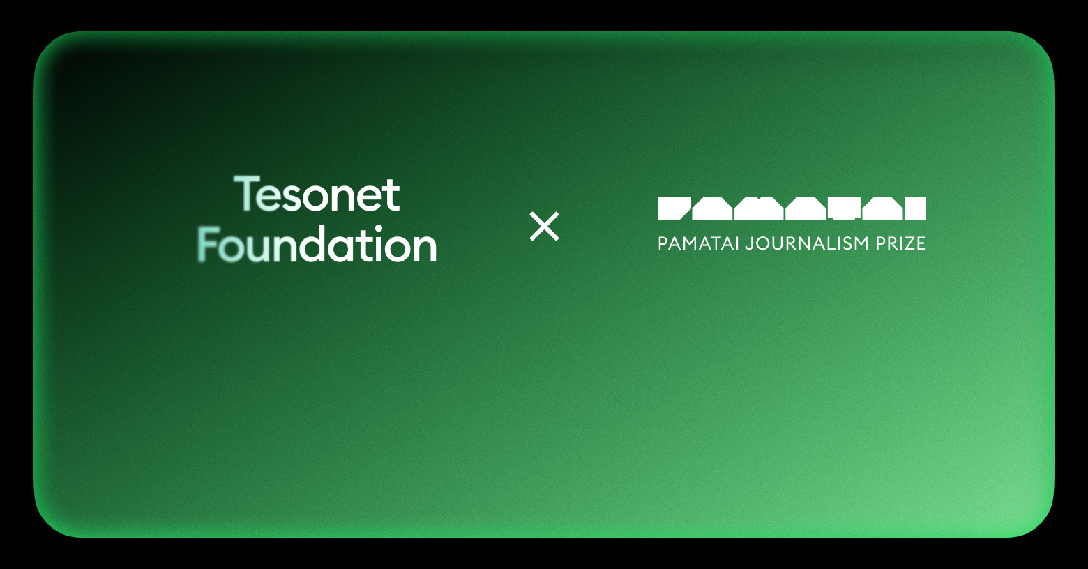 Tesonet Foundation is backing investigative journalism